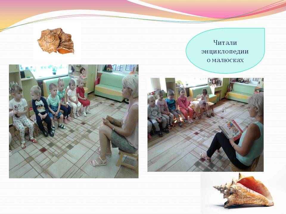 Образовательный проект для детей 3-4 лет Улитки у нас в гостях Слайд 7